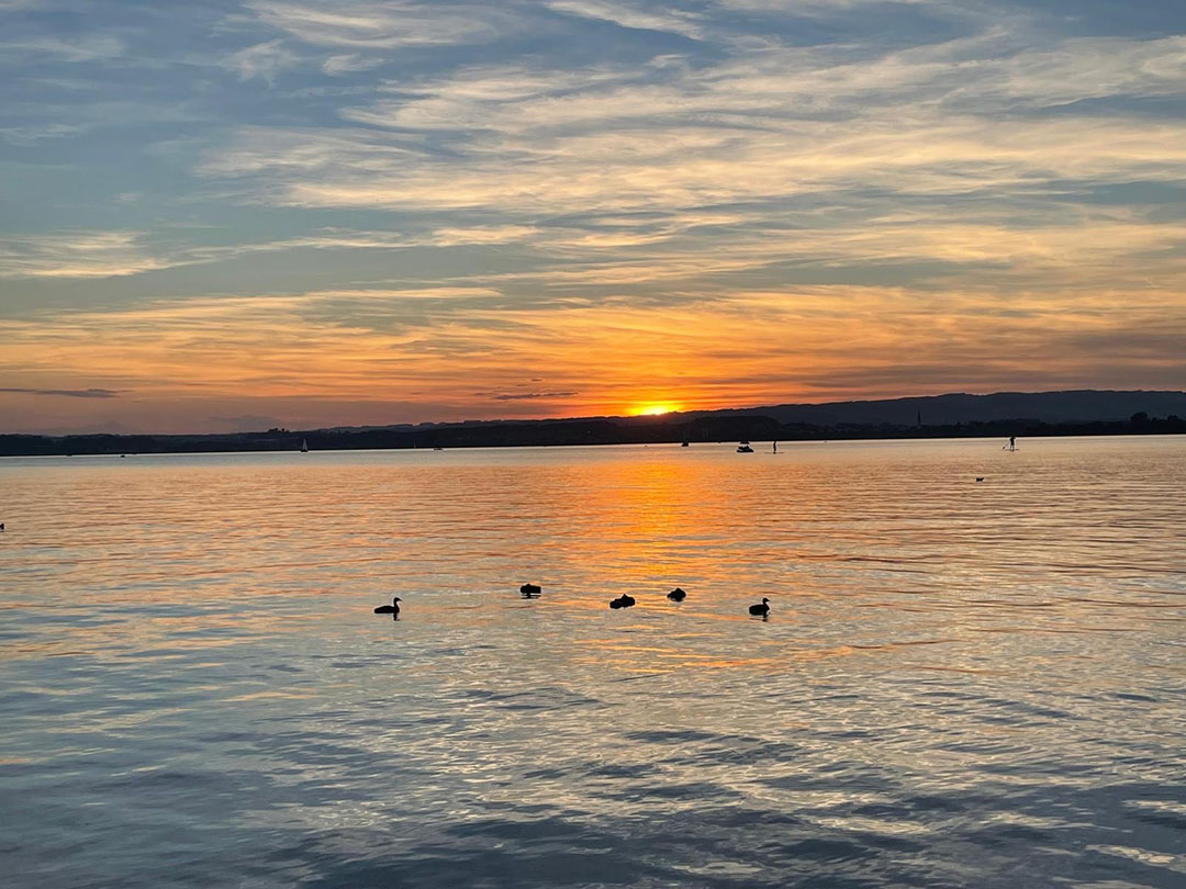 Zug Transfer Zürich