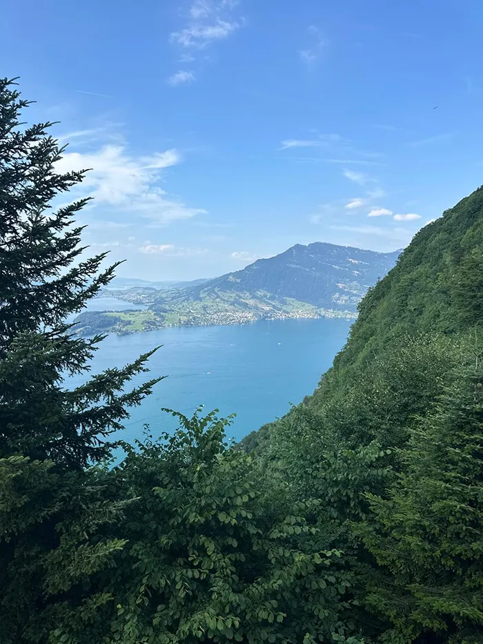Waldhotel by Bürgenstock Flughafen Zurich Transfer